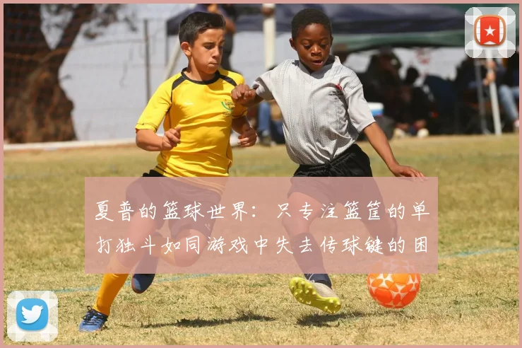 夏普的篮球世界：只专注篮筐的单打独斗如同游戏中失去传球键的困境